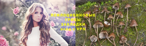 ALPHA PVP Заволжье