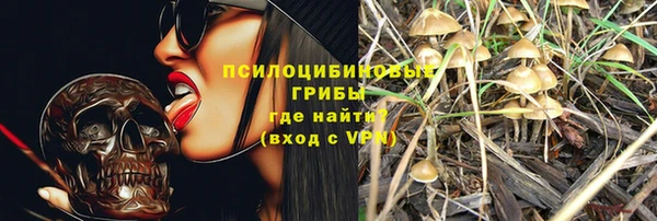 марихуана Заводоуковск