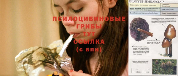 марихуана Заводоуковск